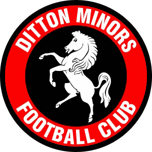 Solent Stevedores sponsors the Ditton Minor Rangers football team